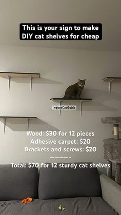 a cat sitting on top of a gray couch in front of a wall mounted shelf