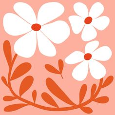 an orange and white flower on a pink background