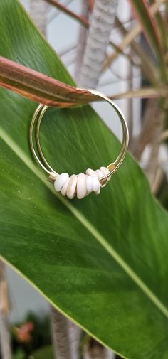 Hawaiian Puka Shell Hoop Earrings Puka Seashell from Maui *Actual Sea Shell shown 14K Gold Filled Hoop Package ready for GIFT GIVING 🎁 Every Jewelry is design and made by me at my Home in Lahaina, Hawaii.  I make one jewelry at a time and every style are mindfully hand-crafted at the moment. Mahalo for your support! Sea Shell Jewelry, Lahaina Hawaii, Sea Shell Earrings, Hawaiian Gifts, Seashell Jewelry, Puka Shell, Gold Filled Hoops, Wedding Jewelry Earrings, Shell Jewelry