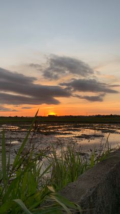 the sun is setting over some water and grass