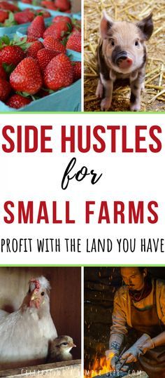 the cover of side hustles for small farms, with pictures of farm animals