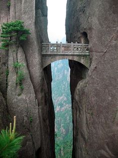 the bridge is built into the side of the mountain with trees growing out of it