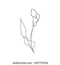 a single line drawing of a flower on a white background