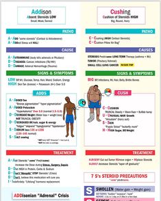 a poster with instructions on how to use the correct body type for an advertment