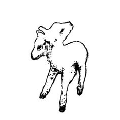 a black and white drawing of a sheep