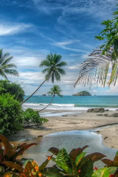 the beach is surrounded by palm trees and blue water