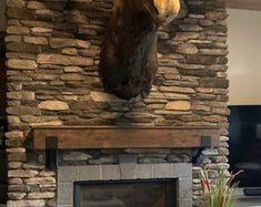 a bear head mounted on the mantle of a fireplace in a living room with stone walls