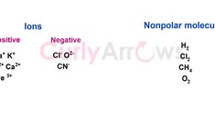 the names of different types of nonpare and nonparecious substances are shown in