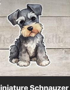 the miniature schnauzer sticker is sitting on a wooden surface