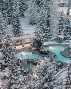 an aerial view of a pool surrounded by pine trees and snow covered grounds at night