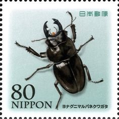 a stamp with an image of a beetle on it's back and words written in japanese