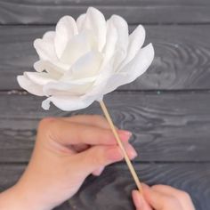 a person is holding a white flower in their hand on a wooden table with wood planks