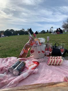 an outdoor picnic with wine and snacks on the blanket