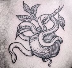 a snake and apple tattoo on the back of a man's stomach with leaves