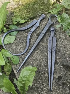 three pairs of scissors sitting on top of a rock next to some leaves and plants