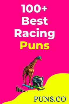 the book cover for 100 + best racing puns