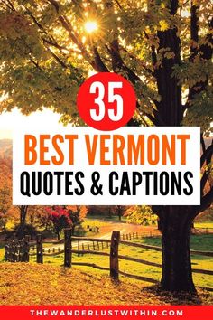 the words best vermont quotes and captions are in front of a tree with leaves on it