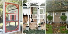 three different types of chicken coops in the yard