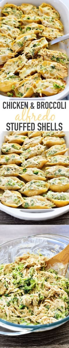 chicken and broccoli stuffed shells on a platter