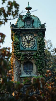 a clock tower covered in vines and ivys