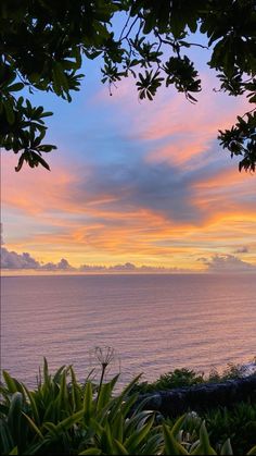 the sun is setting over the ocean with clouds in the sky and trees on the shore