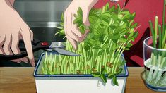 a person cutting up plants in a container on a table with a knife and scissors