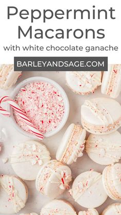 peppermint macarons with white chocolate ganache and candy canes on the side