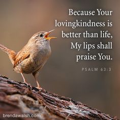 a small bird with its beak open on top of a tree branch and the words, because your lovingindness is better than life, my lips shall praise you