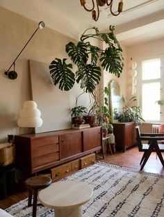 a living room filled with lots of plants next to a table and chairs on top of a rug