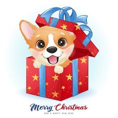 a small dog is opening a red gift box