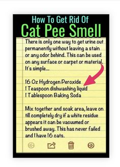 a piece of paper with an image of a cat pee smell on it and the words how to get rid of cat pee smell