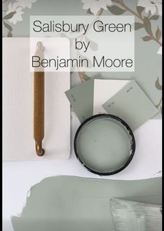 the words salisbury green by benjamin moore are in front of some paint samples