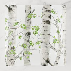 an image of birch trees with green leaves in the background on a white marble surface