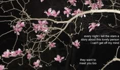 a tree with pink flowers and a quote on it that says, every night tell the stars a story about this lovely person i can't get off my mind they want to meet you too