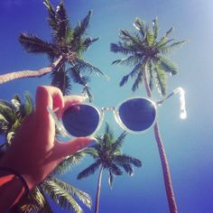 Looking through blue tinted sunglasses White Clouds, Palm Trees, Blue Sky, Trees, Sunglasses, Iphone, Photography, Blue, White