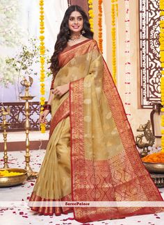 Classic Saree, Cheap Fashion Dresses, Elegant Attire, Net Saree, Trendy Sarees