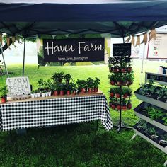 a table covered with potted plants under a tent at an outdoor farmers'market