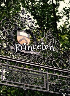 an iron gate with the word princeton above it and trees in the backround