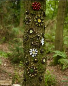 a tree with lots of buttons on it's bark in the middle of a forest