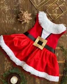 a dog dressed up as santa claus on a wooden floor with decorations around it and an ornament in the background