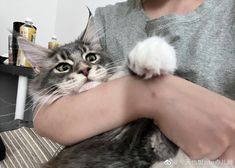 a person holding a cat with its paw on it's arm and looking at the camera