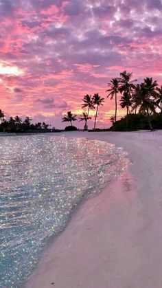 the beach with palm trees in the background and text that reads, pinterest