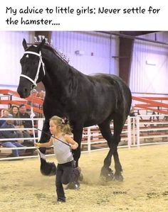 a woman holding the reins of a black horse in an indoor arena with people watching