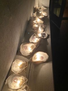 several shells are lined up on the floor next to each other with lights in them