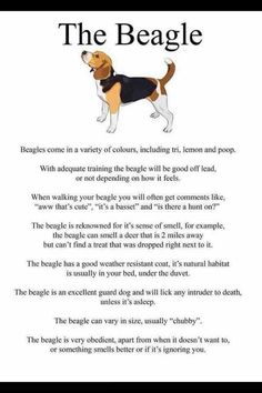 the beagle poem is written in black and white