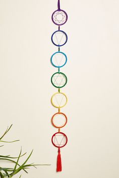 a rainbow colored wind chime hanging from a wall next to a potted plant