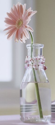 a pink flower in a clear vase on a table