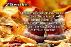 an image of autumn leaves and acorns with the words, willflower charm