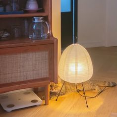 a cat laying on the floor next to a lamp