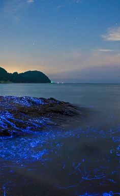 blue lights are glowing on the ground near water and mountains in the distance, as seen from an island at night